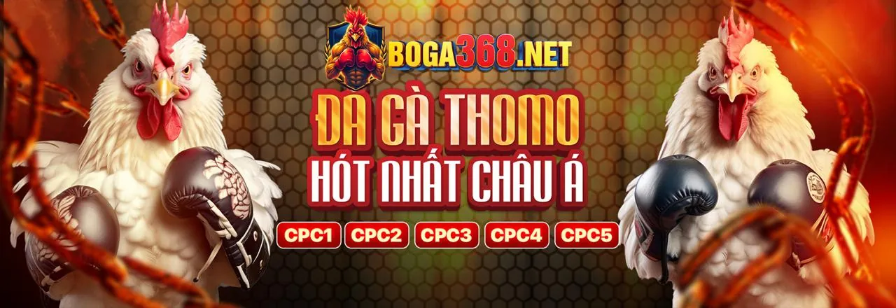 Cá cược thể thao 88bet