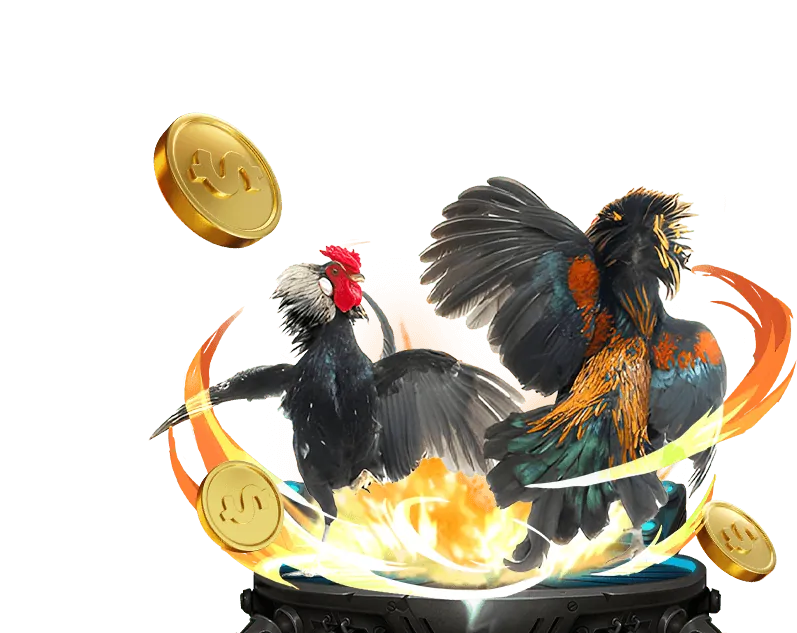 Đá gà trực tiếp CPC4